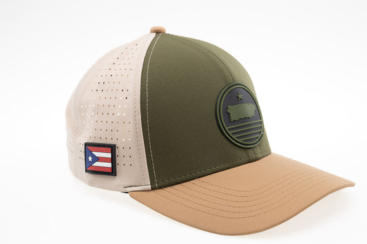 Olive Coast